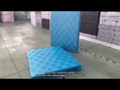 Les palettes en plastique bi-directionnelles d'entreposage au froid d'entrée de mousse de PPE choisissent fait face