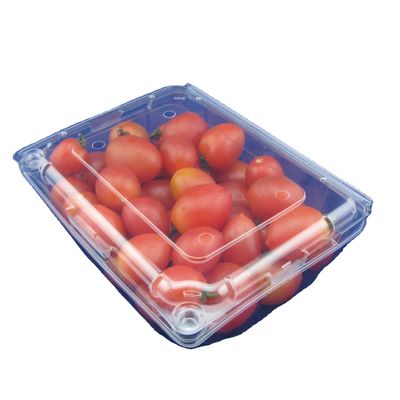 OEM jetable écologique de boîtes de conditionnement en plastique de fruit d'ANIMAL FAMILIER