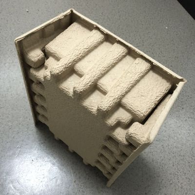 Hanwell a moulé la pulpe Tray Packaging For Food Industrial