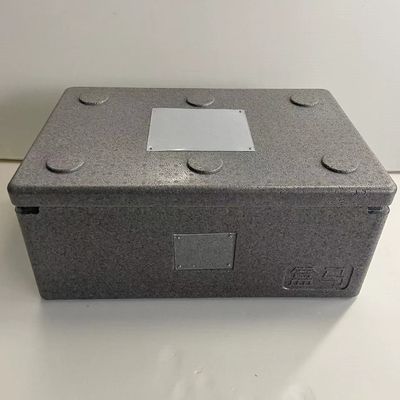 Carton d'expédition augmenté par boîte résistante à la chaleur de refroidisseur de mousse de polypropylène de PPE