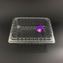 Le conditionnement en plastique d'ANIMAL FAMILIER enferme dans une boîte la fraîcheur de récipients en plastique de bloc supérieur évidente