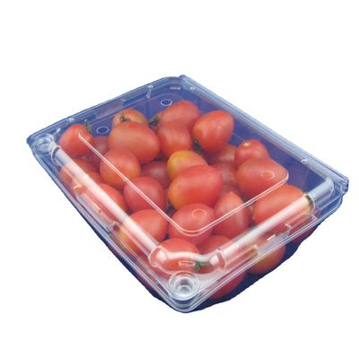 Boîte recyclable ISO9001 en plastique d'emballage de bloc supérieur d'ANIMAL FAMILIER