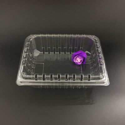 Boîte recyclable ISO9001 en plastique d'emballage de bloc supérieur d'ANIMAL FAMILIER