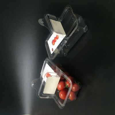 OEM jetable écologique de boîtes de conditionnement en plastique de fruit d'ANIMAL FAMILIER