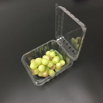 OEM jetable écologique de boîtes de conditionnement en plastique de fruit d'ANIMAL FAMILIER