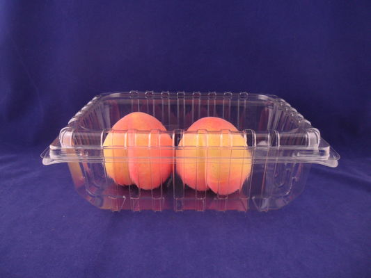 OEM jetable écologique de boîtes de conditionnement en plastique de fruit d'ANIMAL FAMILIER