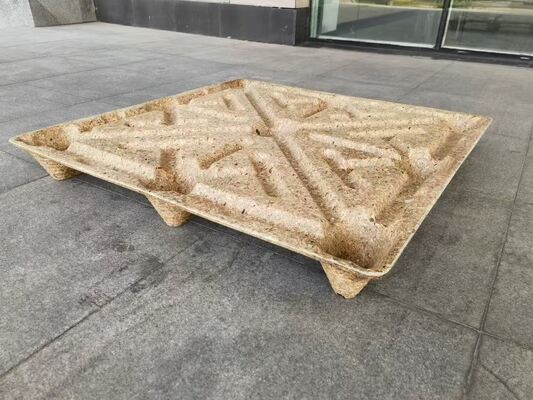 Palettes en bois compressé durables avec un taux d'expansion inférieur à 5 pour cent, adaptées au transport longue distance et interne